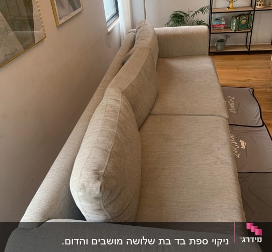 ספה בהירה עם כיסוי מגן על הרצפה